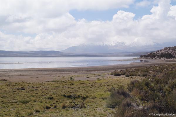 45mm, ƒ/16, 1/100s, ISO100 - 18.02.2017 - Lago Chungará, Chile. ▶ Una vista del Lago Chungará, ubicado a 4570 m sobre el nivel del mar. © Fabián Iglesias.