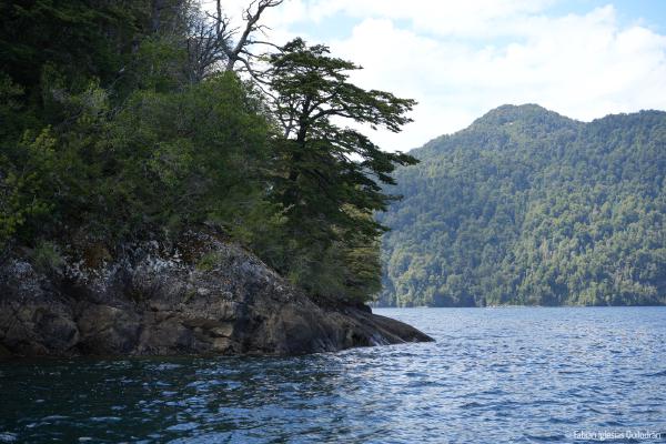 57mm, ƒ/7.1, 1/125s, ISO100 - 19.02.2025 - Lago Pirihueico, Chile. ▶ El lago Pirihueico es un lago de origen glaciar de Chile, a 68 km al sudeste de la ciudad de Panguipulli. © Fabián Iglesias.